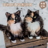 Реалистичная фотография, плюшевая кукла, «сделай сам», делается под заказ, домашний питомец, кошки и собаки, подарок на день рождения