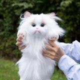 Реалистичная карта-маны, кукла, плюшевая игрушка, США, кот, домашний питомец, подарок на день рождения