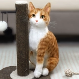 Реалистичная карта-маны, кукла, плюшевая игрушка подходит для мужчин и женщин, США, кот, популярно в интернете, подарок на день рождения