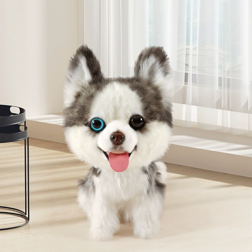 Реалистичная карта-маны, плюшевая кукла, детская игрушка, США, домашний питомец, подарок на день рождения