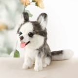 Реалистичная карта-маны, плюшевая кукла, детская игрушка, США, домашний питомец, подарок на день рождения