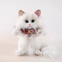 Красный шарф, шпильки для волос, цвет