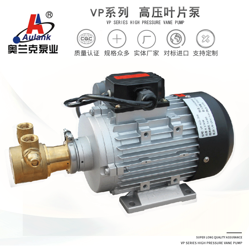 Manufacturers supply high lift vane pump high temperature hot oil circulation vane pump VP-020S-70