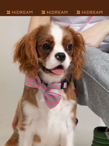 Милый универсальный аксессуар с бантиком, чокер, шарф, подходит для подростков