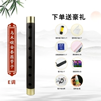 EBA Tube e -tune +8 подарочный пакет