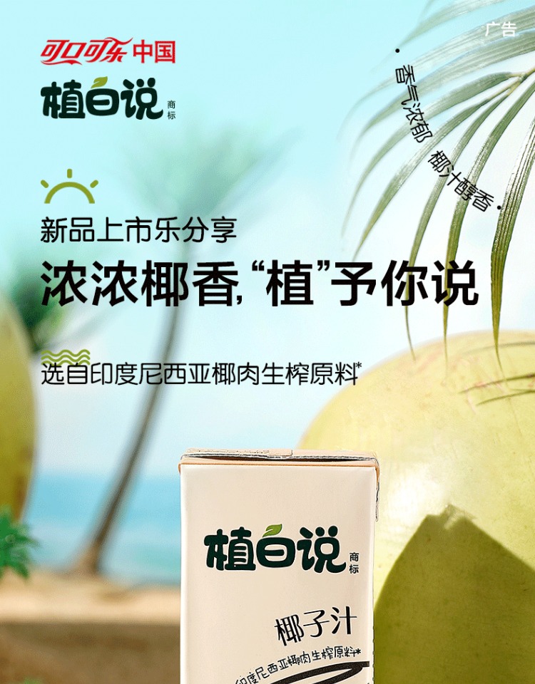 植白说椰子汁植物蛋白饮料250ml*6盒