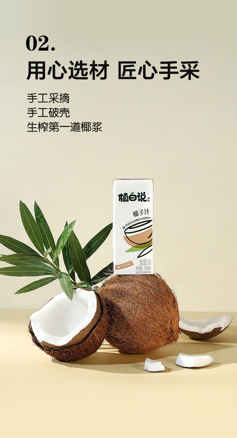 植白说 椰子汁饮料植物蛋白饮料清爽不甜腻250ml*6盒 图3