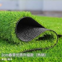 Wuhan lawn mat lawn outdoor yard floor mat simulated lawn engineering fence green fake turf carpet