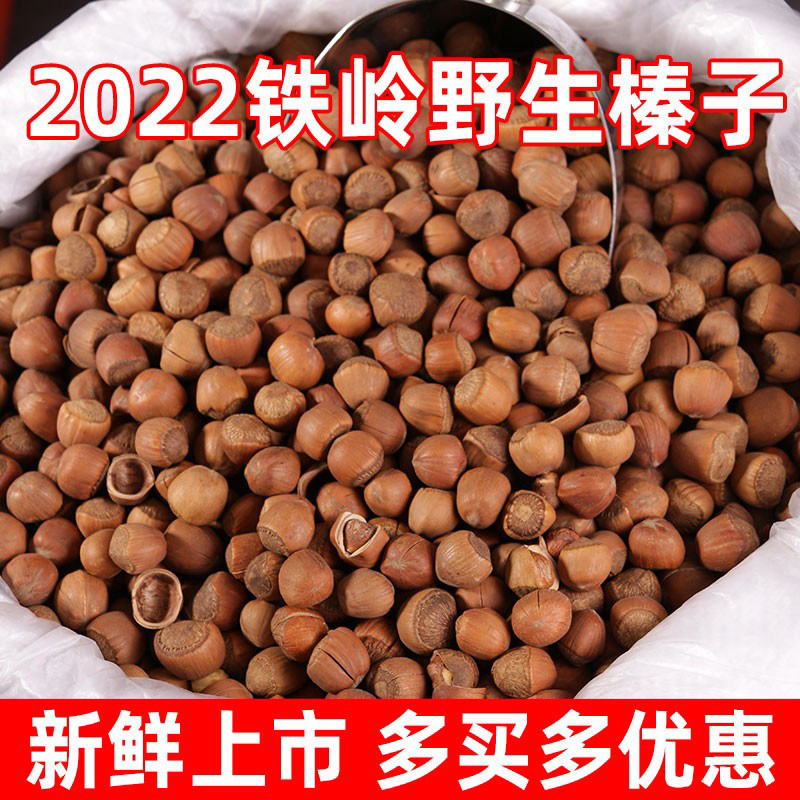 Hazelnut Northeast Specialty Tieling Wild Hazelnut Fried Northeast Big Hazelnut Hand-patted Stick Fresh Dried Fruit New Goods