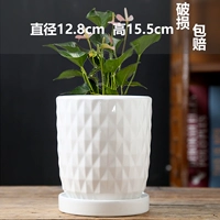 Большие чистые белые звезды