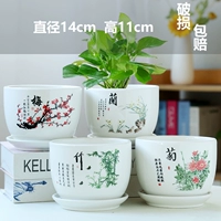 Четыре среднего menmei Milan Bamboo Chrysanthemum