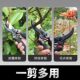 German fine craft garden scissors, special scissors for cutting branches, pruning scissors, fruit tree scissors, garden scissors