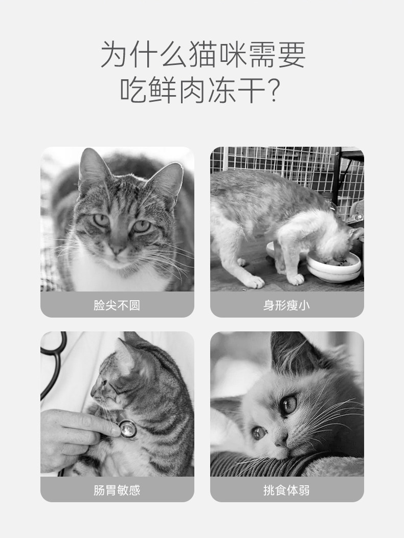 Кошки закуски 冻干猫零食鸡胸肉鸡小胸营养增肥发腮宠物猫咪狗狗鸡肉粒整块冷冻