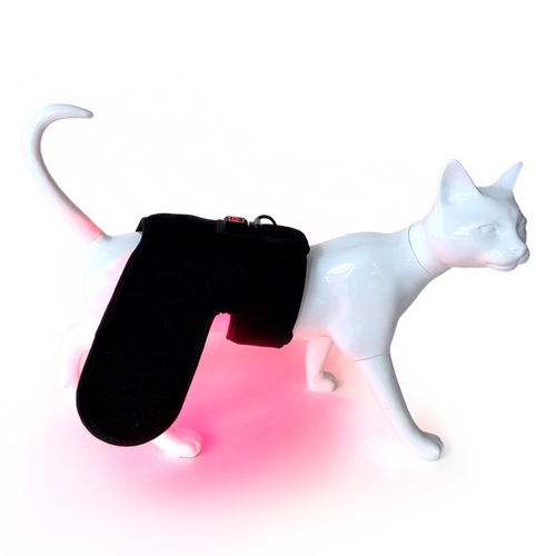 Физиотерапевтическая подушка с красным светом для домашних животных для кошек и собак, универсальный сустав, коленная чашечка, послеоперационная реабилитация, облегчение здоровья, терапия инфракрасным светом, задние конечности