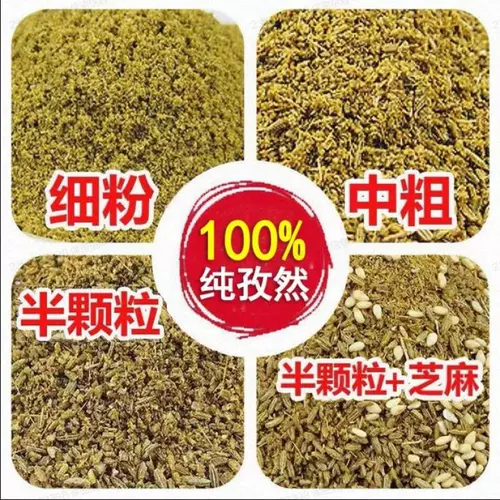 Аутентичный Xinjiang Pure Temin Powder Bargebue Sprinked и коммерческие новые товары Cemin зерна полугранулярный дом тмин сырой порошок барбекю барбекю