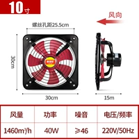 10 -INCH Network Ording Models (один человек ограничен одним заказом)