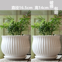 Два большого чистого белого искусства