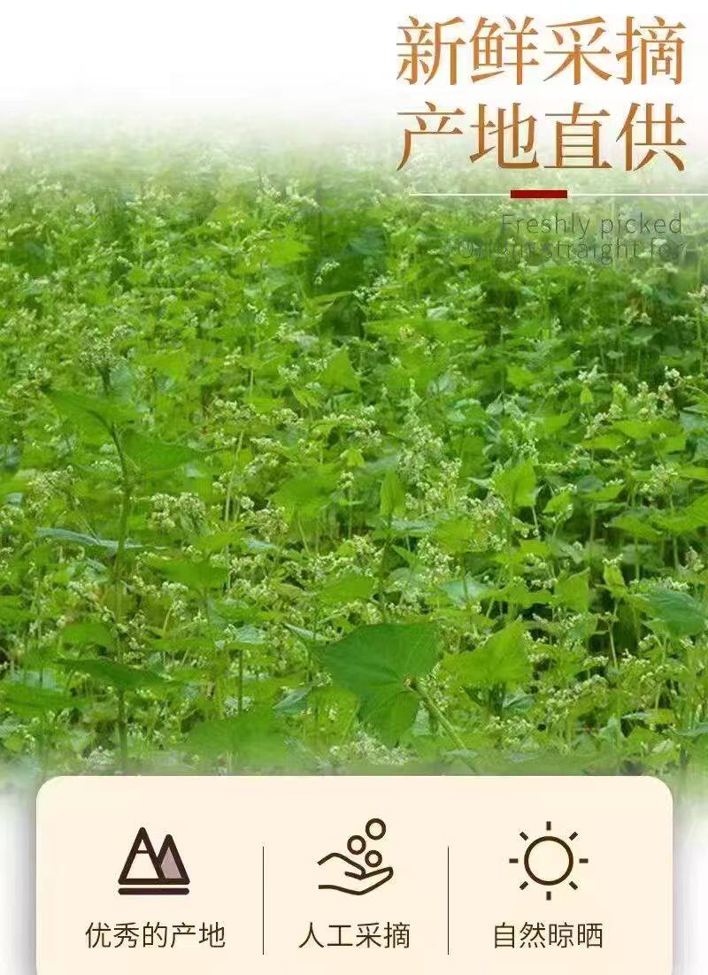 Tartary Buckwheat Tea Huang Kuqiao Cha 500g Sichuan Daliangshan Roasted Grain Tea Sugar Free Canned Pack key features