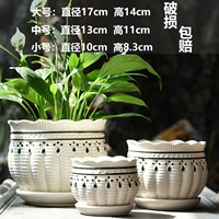 Один из маленьких и маленьких в черно -белом цветочном горшке