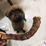 Собачья корзина могана блокировки утки закуски крупные маленькие маленькие маленькие маленькие собаки, маска чистый зуб, говяжий виноград, закуски для собак