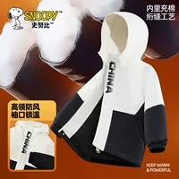 [Зарядка хлопчатобумажной одежды] Абрикос/сплошной цвет