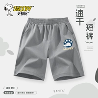 [Быстросохнущие спортивные шорты] Серый/S Dog Paw K