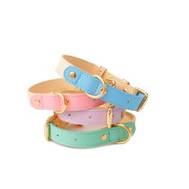 (Self-operated) To teamo pet real cowhide collar cat and dog neck collar tag dog chain Teddy small and medium-sized dog traction