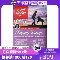 (Self-operated) ORIJEN Original Prey Craving Large Breed Puppy Chicken Dog Food 5 9kg Validity Period 24-11