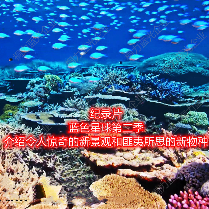 High-definition Documentary Submarine Vision Feast Blue Planet 2 Blue Planet 2 Blue Planet II soundtrack