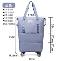 С разделителями, очень большой, синий, 34см