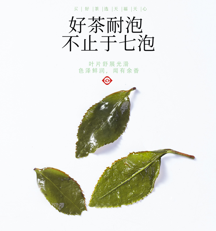 【天福天心茗茶】安溪铁观音乌龙茶400g