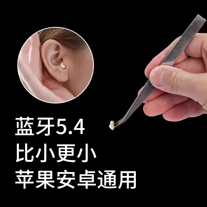 Invisible Bluetooth Earphones for Work, Mini 2025 New Model, Ultra-Small Wireless Binaural Hidden Type
