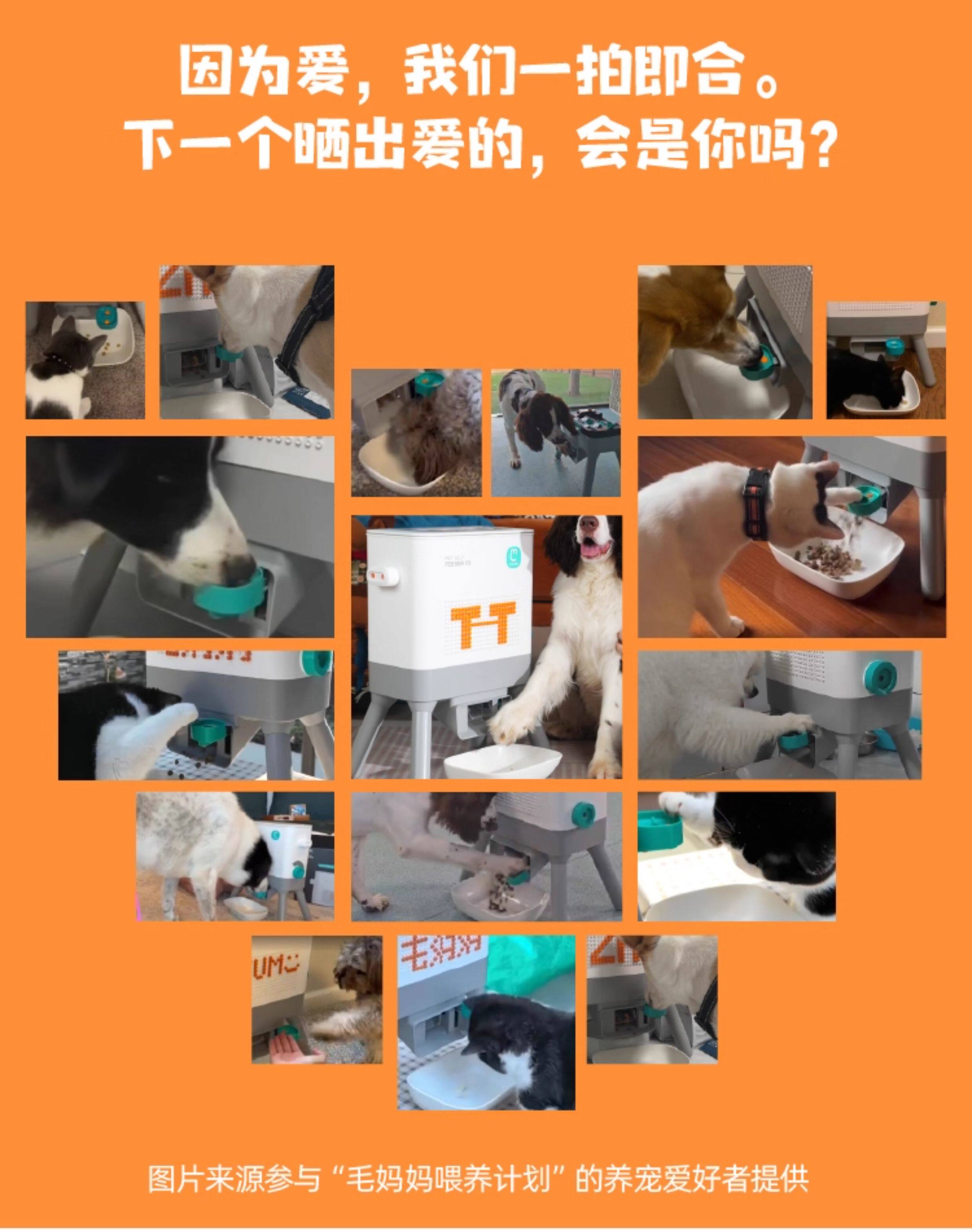 Кормушка с дозатором для кошек и собак 毛妈妈diy智趣喂食器自助取食训练器狗狗交互式投食器喂养神器f3 Maother