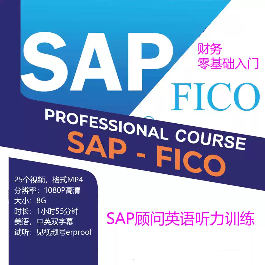 SAP顾问英语听力训练视频之FI零基础高清美音中英双语字幕