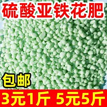 Ferrous Sulfate Flowers Fertiliser Powder Granular Soil Improved Breeding Delight Acidic Plant Potted Water Solution Price