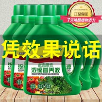 Universal nutrient solution plant special green basket flower multi-meat rich and expensive bamboo home potted flower fertilizer feeding tool