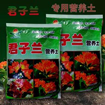 Monarchs special nutritional earth orchid cuckoo cuckoo pineapple flower plant potted plant to grow grass charcoal coniferous 5 liters