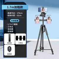 Штатив, пульт, сумка для хранения, 1.7м