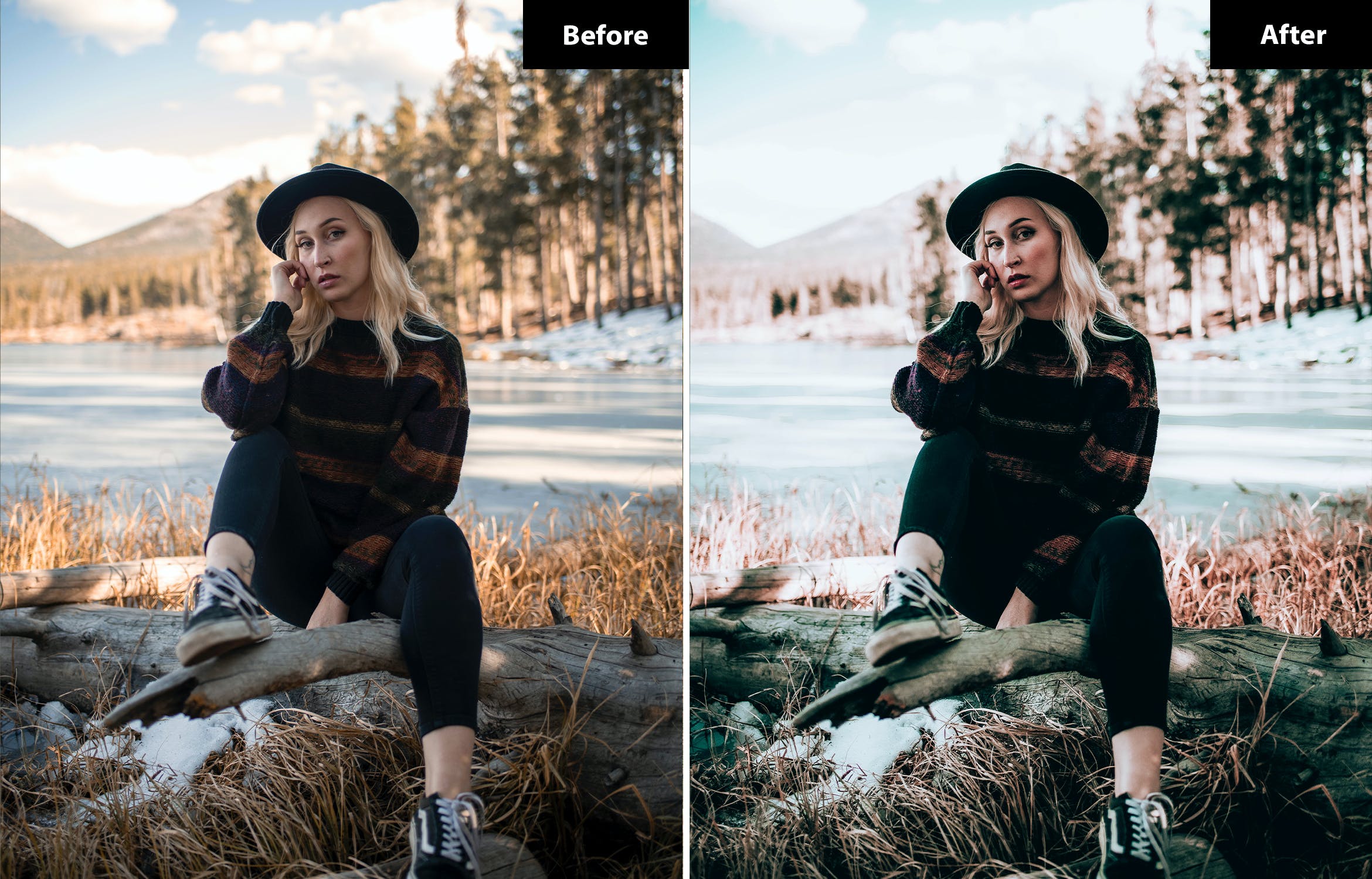 6 Frost Look Lightroom and Photoshop Presets-5.jpg