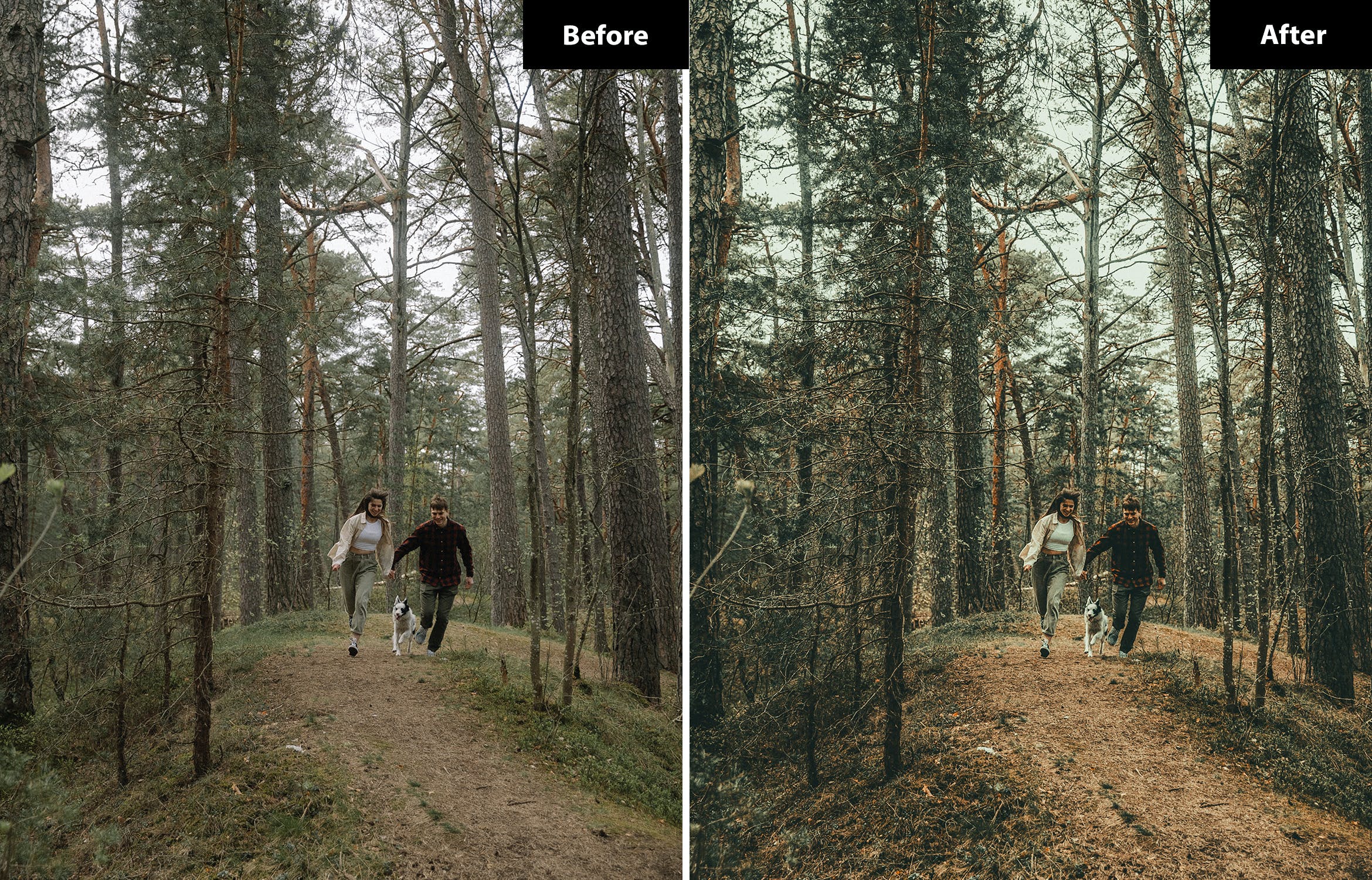 6 Feels forest Lightroom and Photoshop Presets 4.jpg