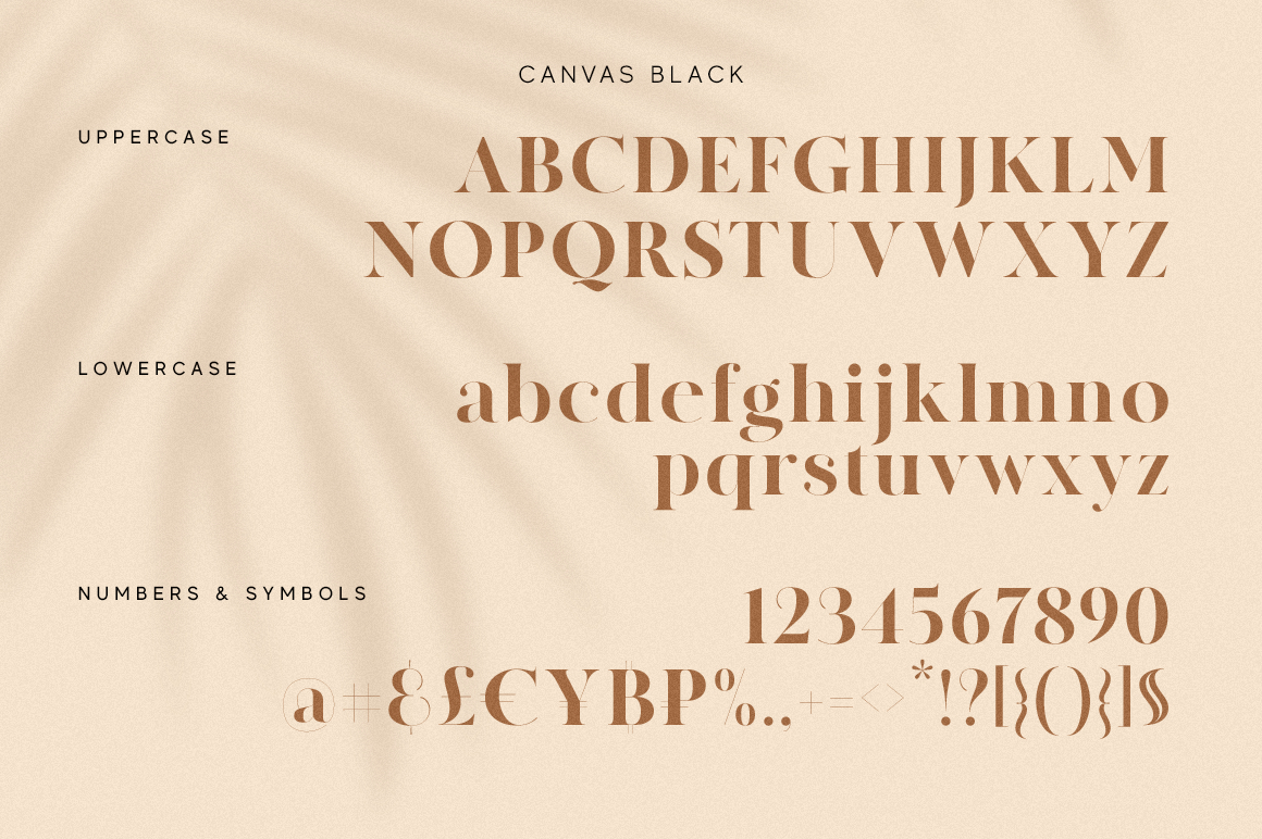 MADE Canvas, a Serif Font by MadeType Photo 6 of 1.jpg