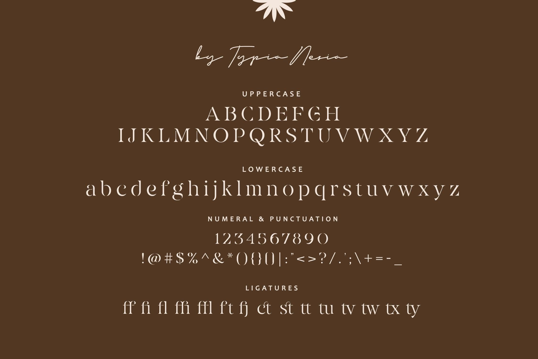 Eiosaka - Beauty Elegant Stencil Serif Font_2.jpg
