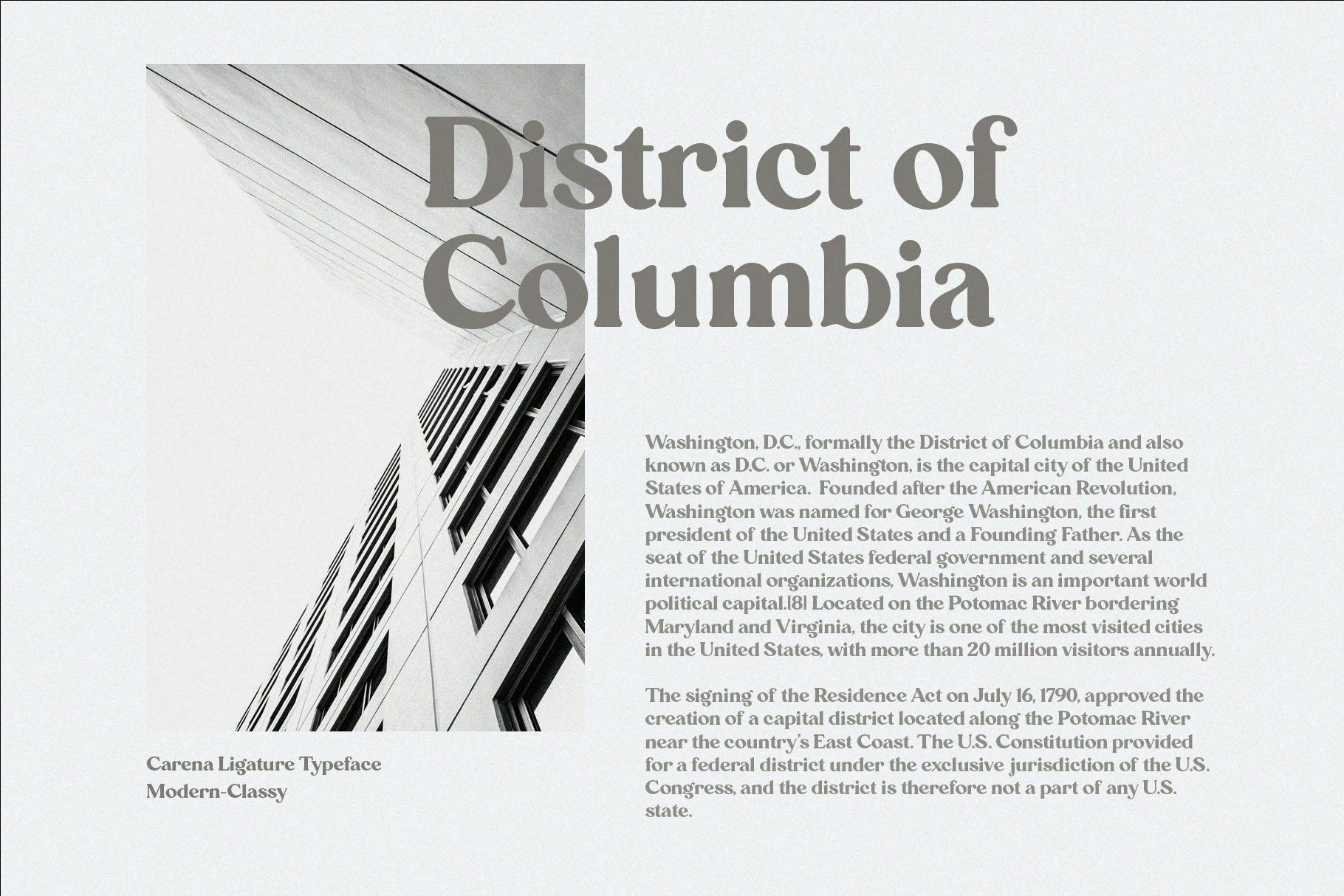 Carena - Ligature Serif Font_8.jpg