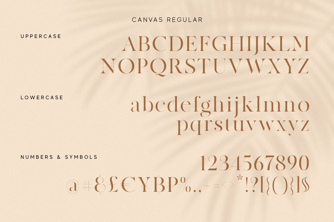 MADE Canvas, a Serif Font by MadeType Photo 5 of 1.jpg