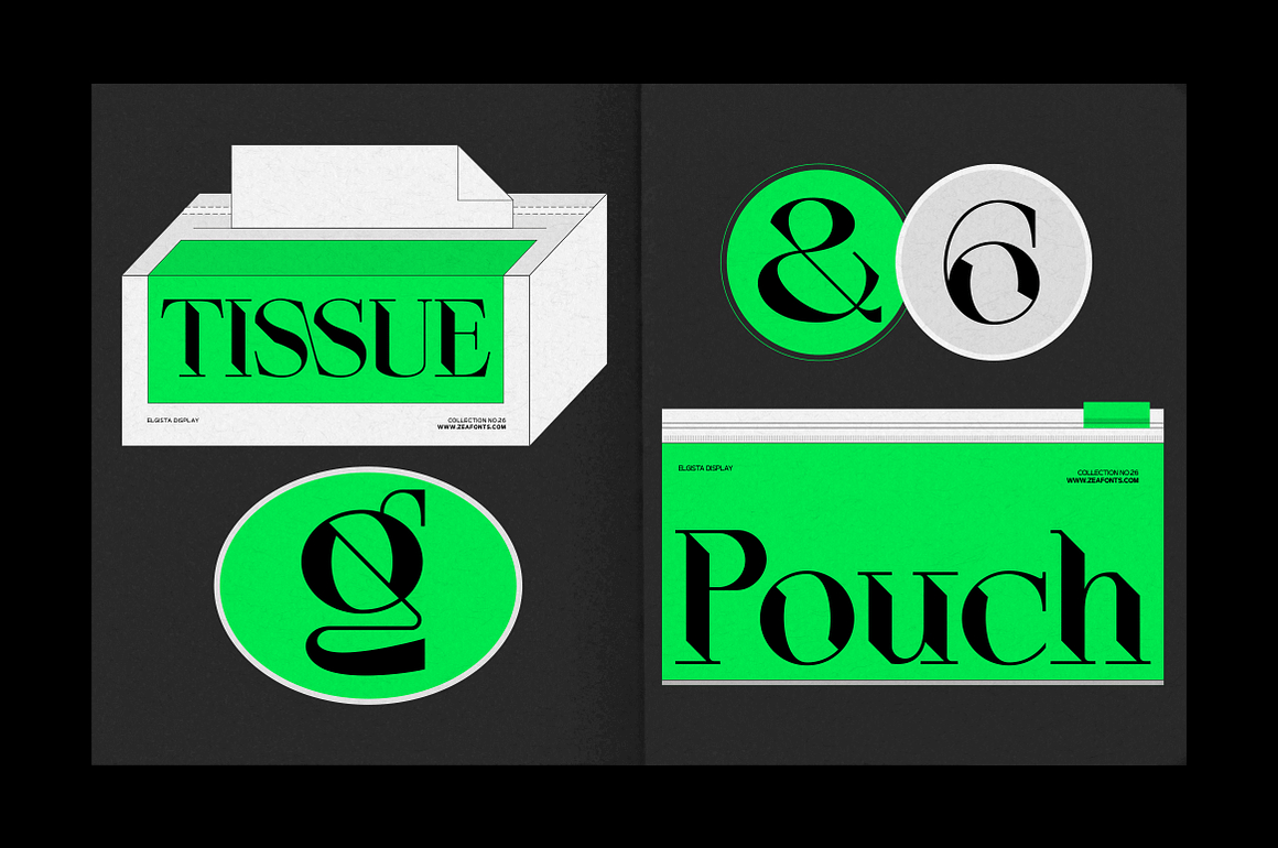 ELGISTA, a Serif Font by Bagerich Type Foundry Pho.jpg