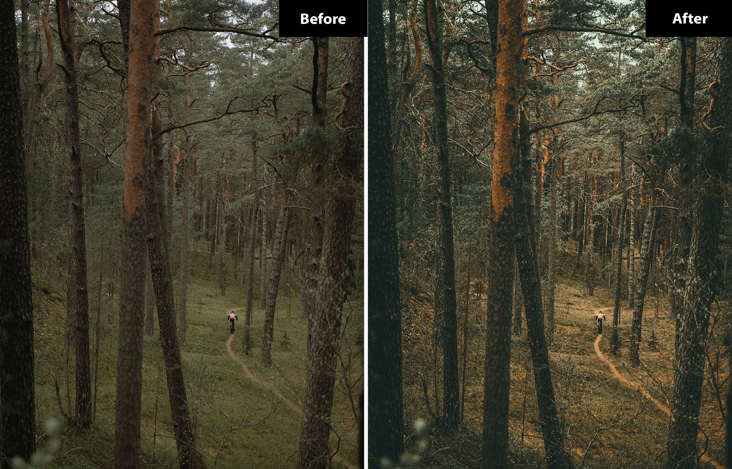 6 Feels forest Lightroom and Photoshop Presets 6.jpg