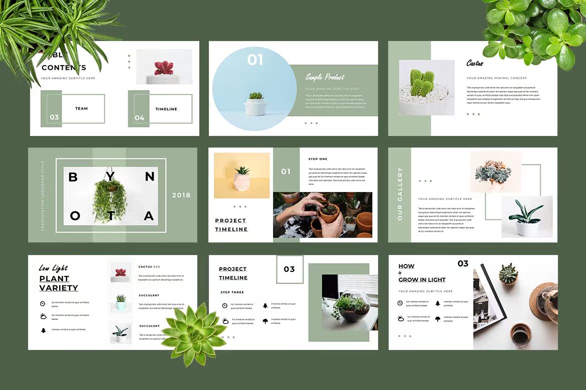 Botany Powerpoint Presentation 2.jpg