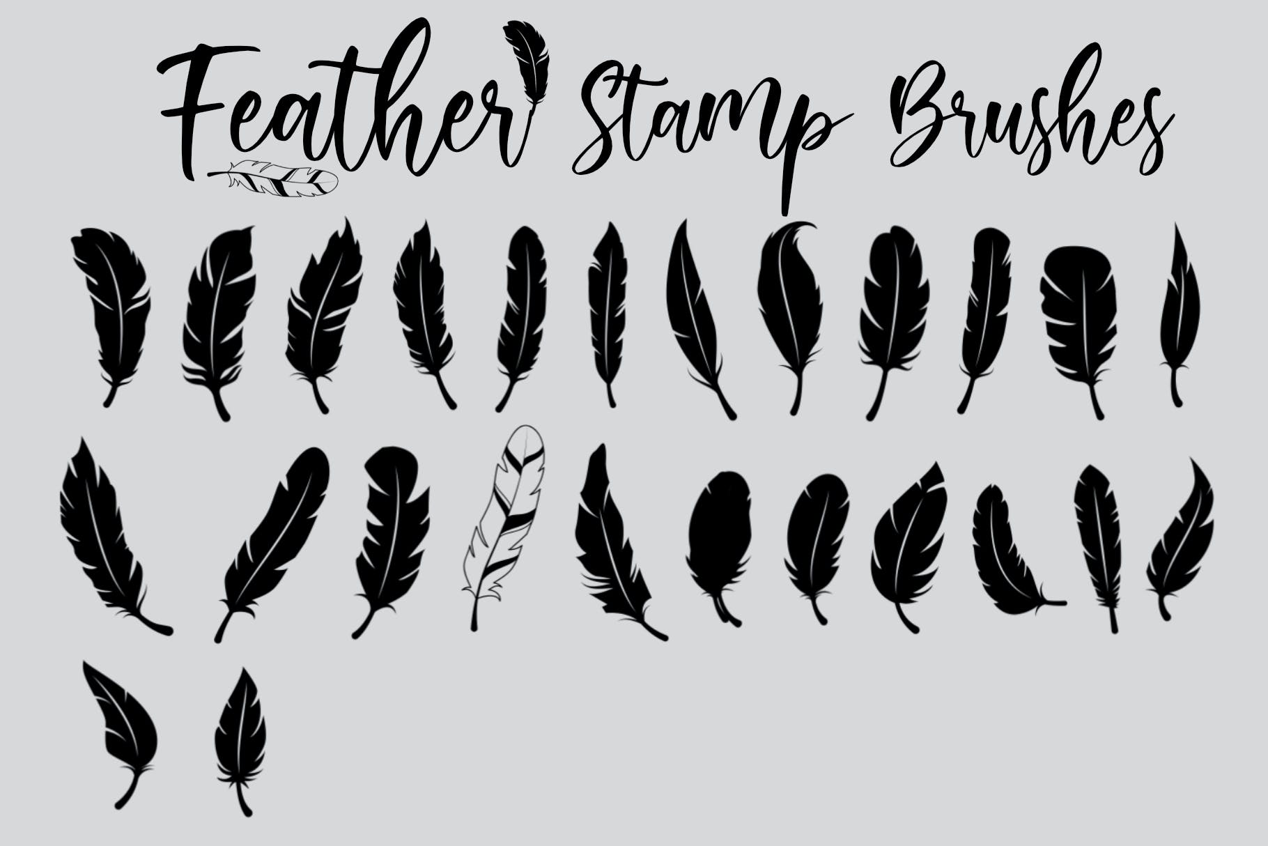 Feather Stamp Brush-2.jpg