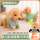 Электрические плюшевые игрушечные щенки могут ходить и лаять, имитируя электронных домашних роботов-собак, детские игрушки для мальчиков и девочек mini 0