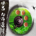 李小姐的茶   安吉白茶